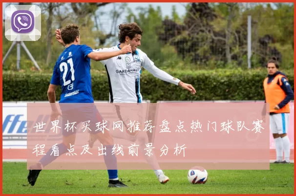 世界杯买球网推荐盘点热门球队赛程看点及出线前景分析