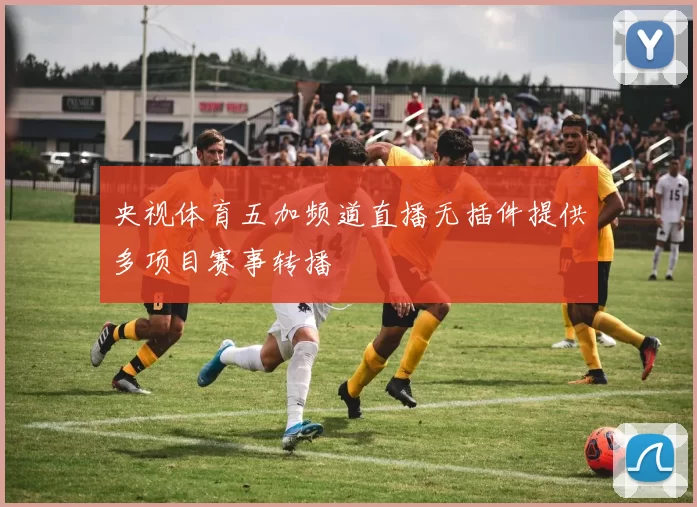 央视体育五加频道直播无插件提供多项目赛事转播