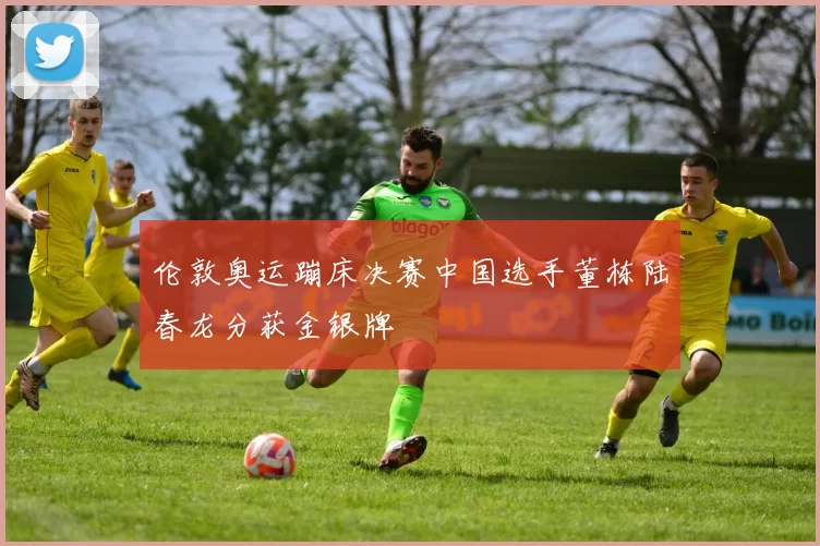 伦敦奥运蹦床决赛中国选手董栋陆春龙分获金银牌